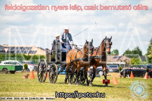 Mintakép 20260509-512