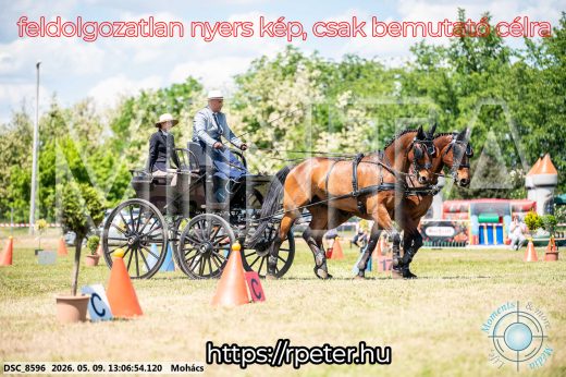 Mintakép 20260509-513