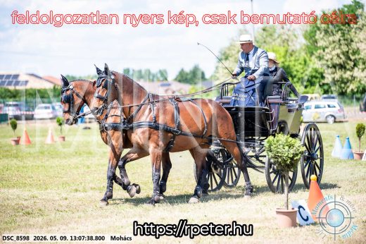 Mintakép 20260509-514