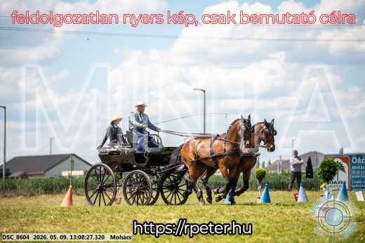 Mintakép 20260509-518