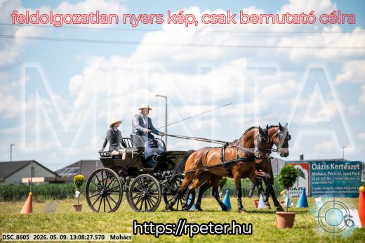 Mintakép 20260509-519