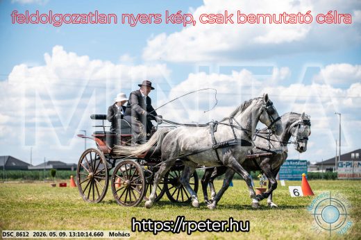 Mintakép 20260509-523