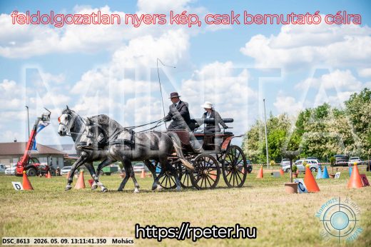Mintakép 20260509-524