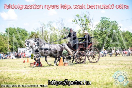 Mintakép 20260509-527