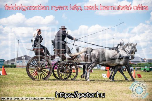 Mintakép 20260509-530