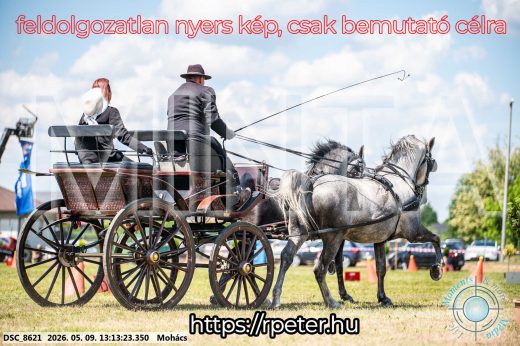 Mintakép 20260509-532