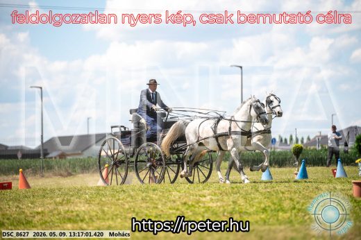 Mintakép 20260509-538