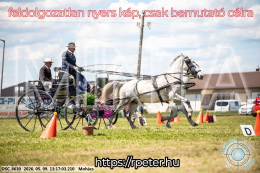 Mintakép 20260509-541