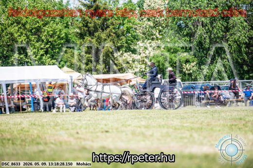 Mintakép 20260509-542