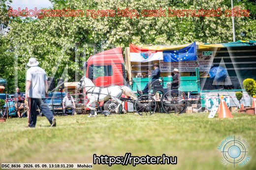 Mintakép 20260509-544