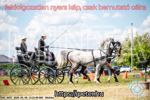 Mintakép 20260509-555