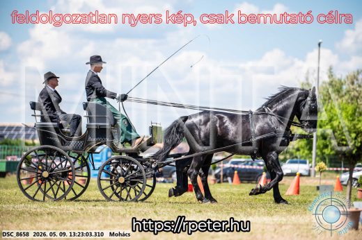Mintakép 20260509-559