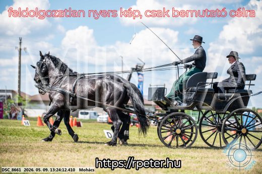 Mintakép 20260509-562