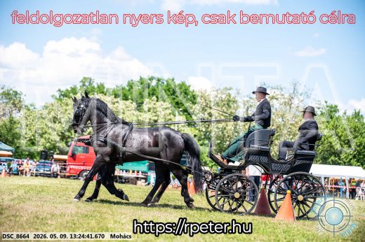 Mintakép 20260509-563