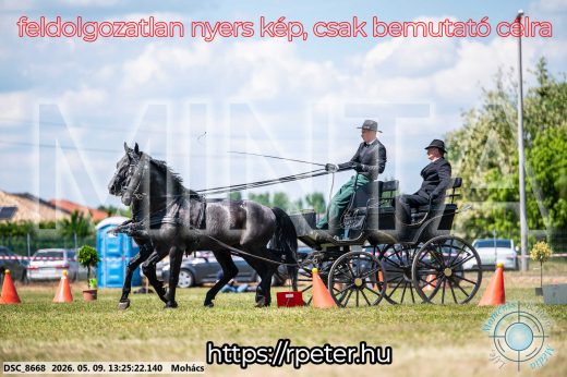 Mintakép 20260509-564