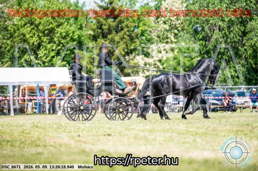 Mintakép 20260509-567