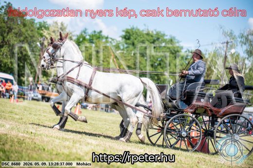 Mintakép 20260509-571