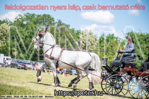 Mintakép 20260509-572
