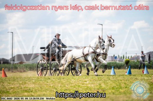 Mintakép 20260509-573