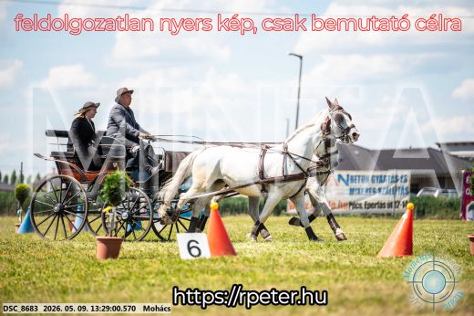Mintakép 20260509-574