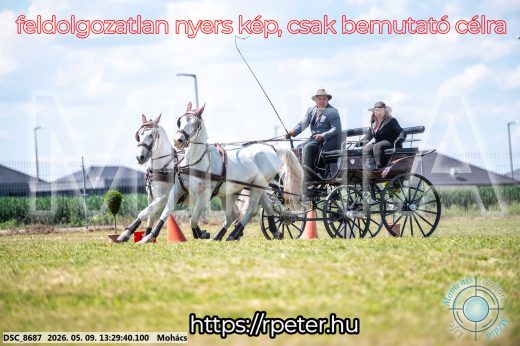 Mintakép 20260509-578