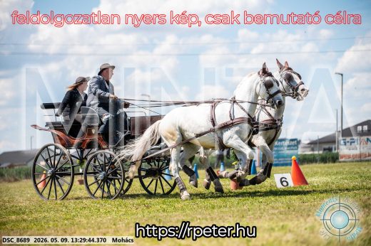 Mintakép 20260509-580