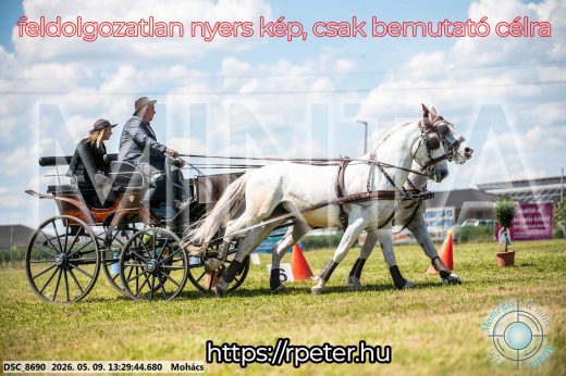 Mintakép 20260509-581