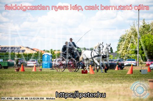 Mintakép 20260509-586