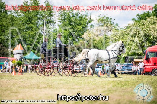 Mintakép 20260509-590