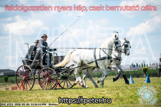 Mintakép 20260509-596