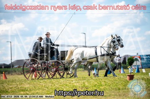 Mintakép 20260509-597