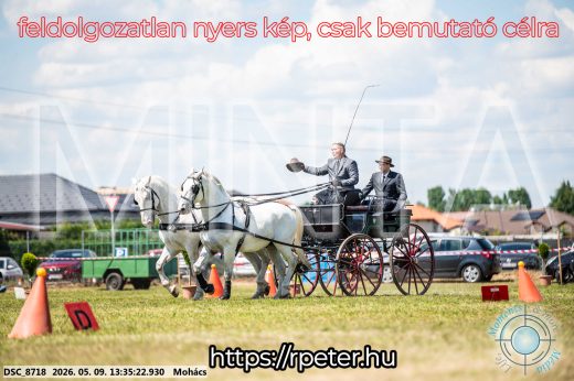 Mintakép 20260509-601