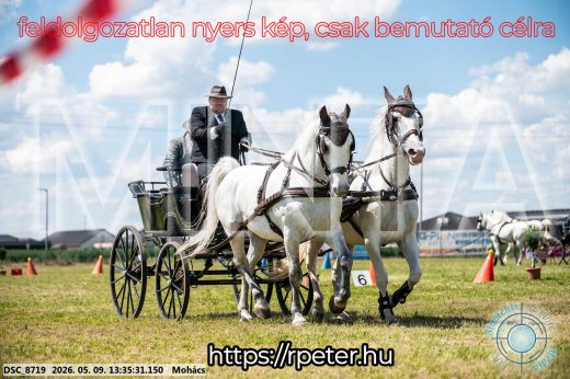 Mintakép 20260509-602
