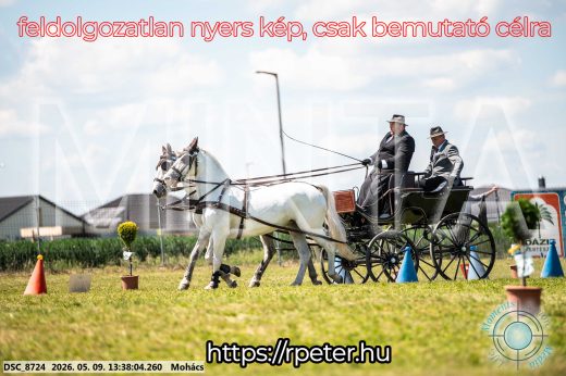 Mintakép 20260509-607
