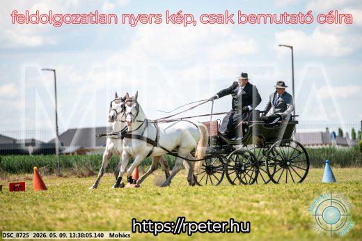 Mintakép 20260509-608