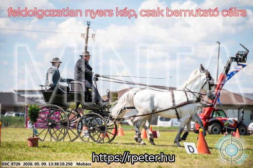 Mintakép 20260509-609