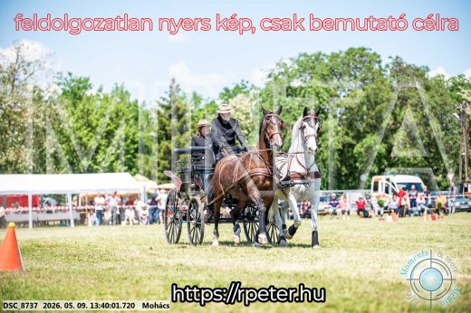 Mintakép 20260509-618