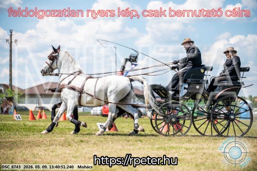 Mintakép 20260509-624
