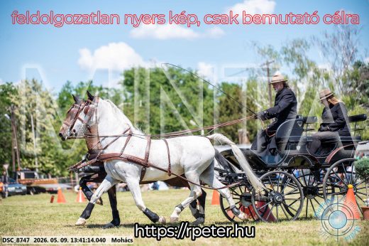 Mintakép 20260509-628