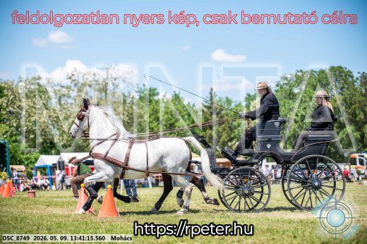Mintakép 20260509-630