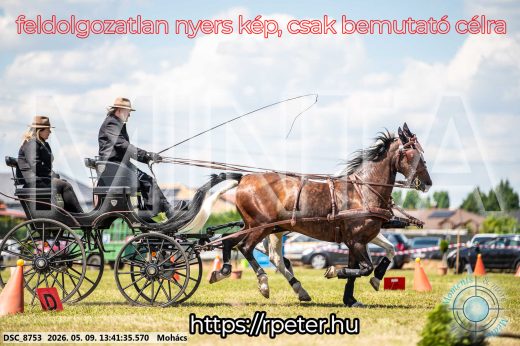 Mintakép 20260509-633