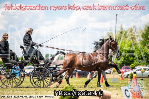 Mintakép 20260509-634