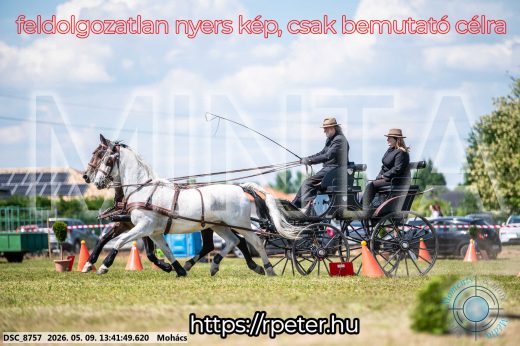 Mintakép 20260509-637