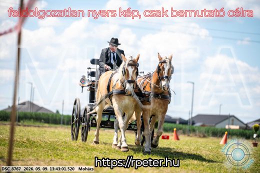 Mintakép 20260509-641