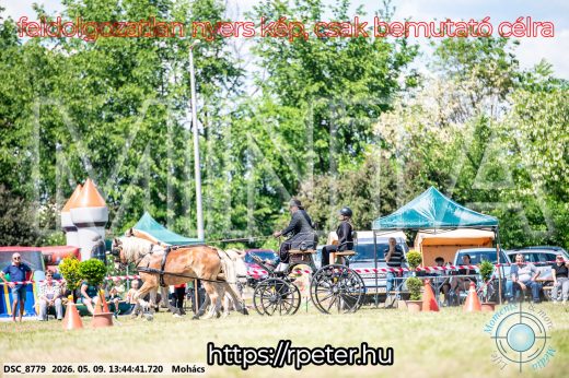 Mintakép 20260509-648