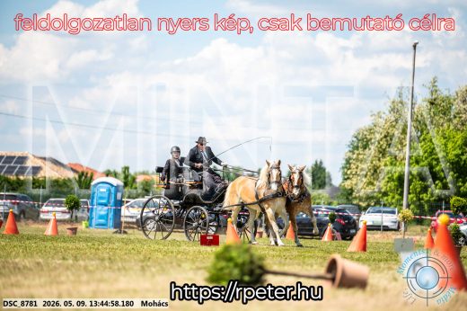 Mintakép 20260509-649