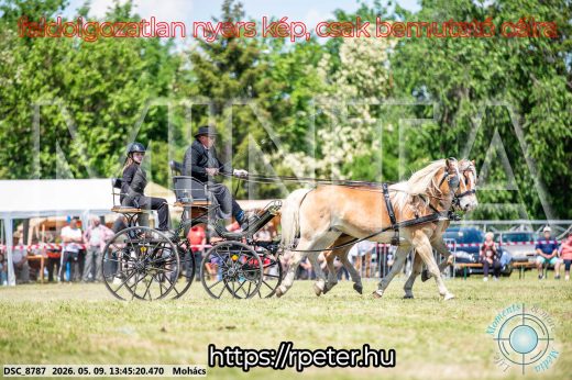 Mintakép 20260509-655