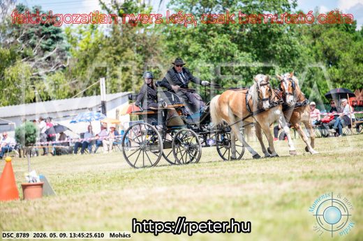 Mintakép 20260509-656