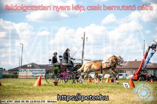 Mintakép 20260509-663