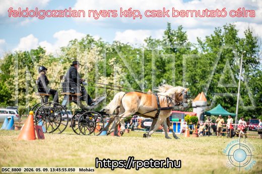 Mintakép 20260509-665